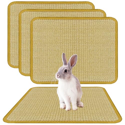 Bunny Scratch Pads (3PCS)