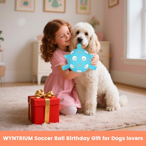 8 Inch Dog Soccer Ball with Straps (Pale Blue / Large-8 Inch)