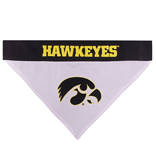 Collegiate Pet Accessories (Large/X-Large / Iowa Hawkeyes)
