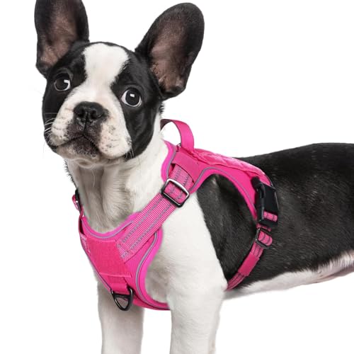 Tactical Dog Harness for Small Dogs (S(Chest:16.1"-31.5",Neck:15.4"-21.6",Back:7.1") / Rose Red)