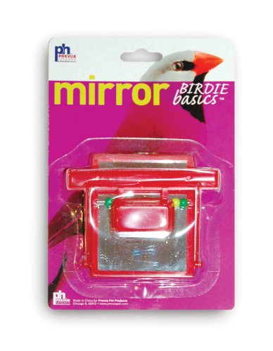 Prevue Hendryx Birdie Basics Perch Mirror with Beads Bird Toy