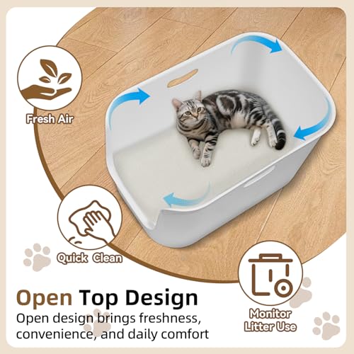 Extra Large High Sided Litter Box (High side)