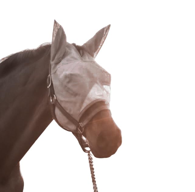 Warmblood Fly Mask with Ears