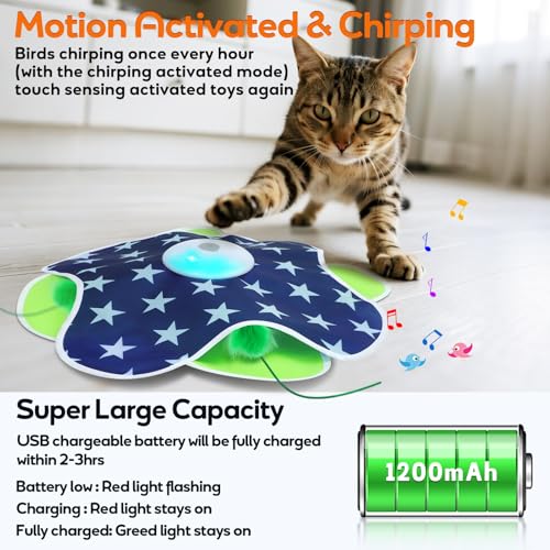 Interactive Cat Toys for Indoor Cats Kittens Mat Toy