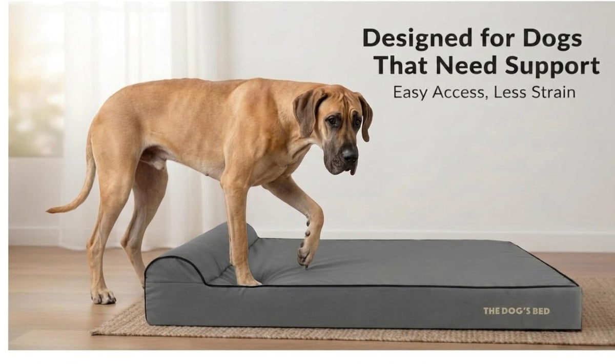 The Dog’s Bed Orthopedic Memory Foam Dog Bed with Headrest XXL 6 (Grey with Black Trim / XXL (54"L x 36"W x 6"Th))