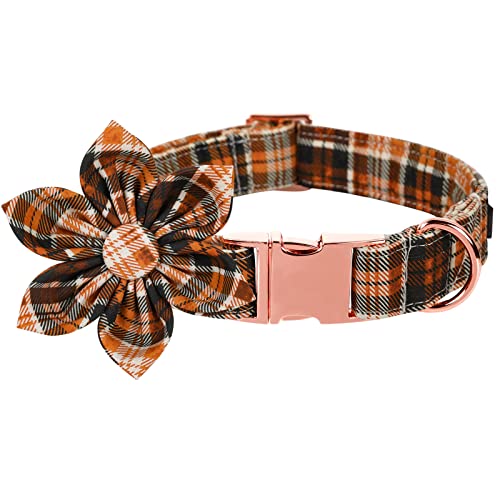 Dog Collar with Flower (B:O&B Grid / Small (Pack of 1))