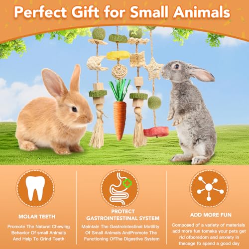 Rabbit Chew Toys Bunny Cage Hanging Toy and Treats Rattan Ring with Snacks for Rodent Pets Teeth Healthy (1 count)