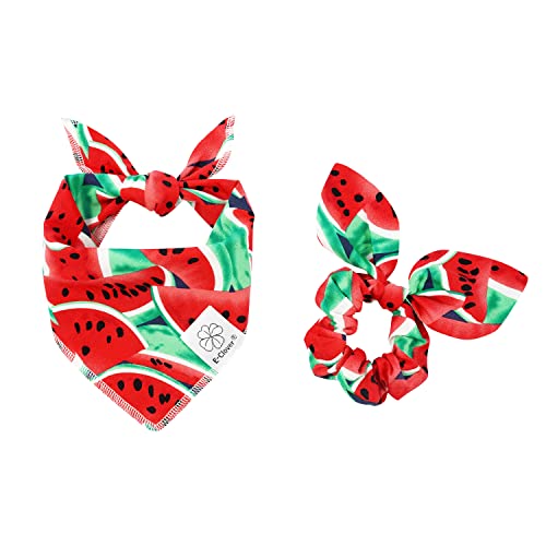 Summer Dog Bandanas Girl Matching Dog Bandana and Scrunchie Small (watermelon / Small-set of 1)