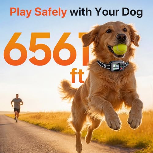 Wireless Dog Fence System (Black)