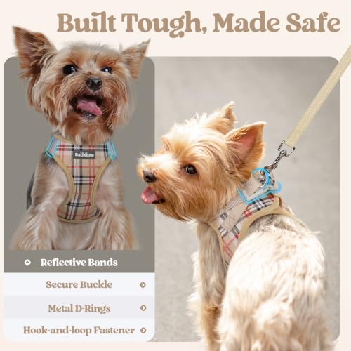 Dog Harness Small Sized and Leash Set (Beige Plaid / Xs (chest: 13.3 - 15.5"))