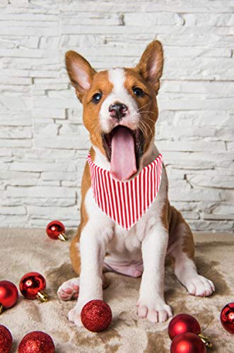 Dog Bandana for Small Medium Large Dogs (Red&White Stripe / Small (Pack of 1))