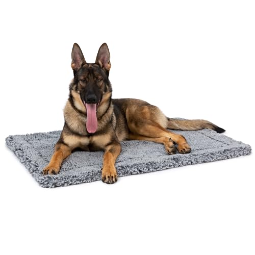 Stoutwool Indestructible Dog Bed (47.0"L x 29.0"W x 2"Th / Charcoal)