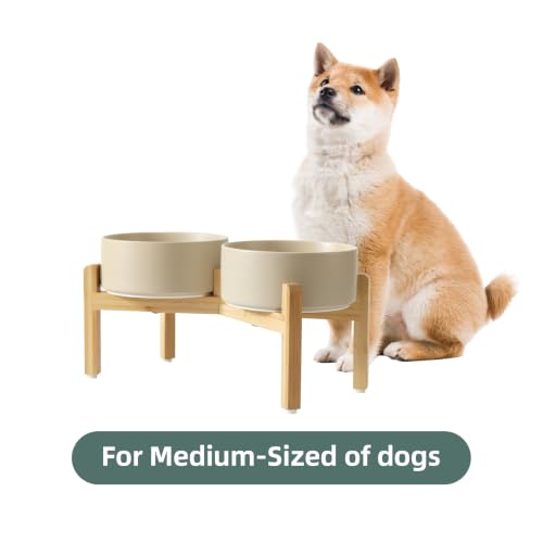 Dog Bowls Elevated (Matte Khaki)