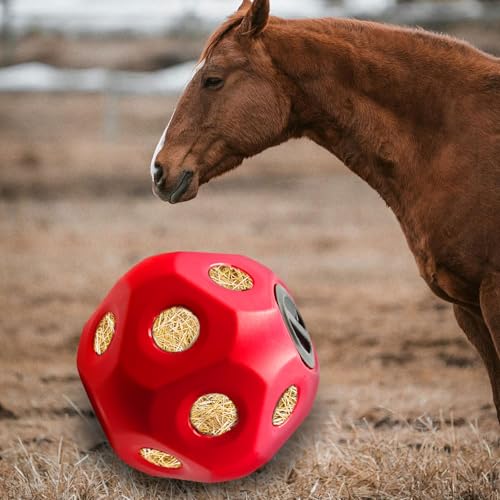 Hay Feeder Horse Treat Ball (Red)