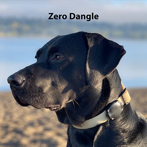 AirTag Dog Collar Holder (2 Pack (Standard))