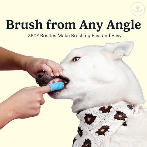 Dog Toothbrush (Pink (2-pack))