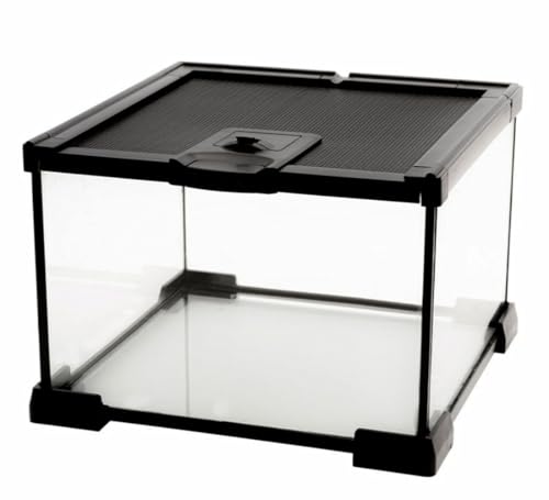 Mini Reptile Glass Terrarium Tank (7.9x7.9x5.7inch)
