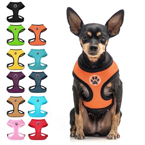 Small Dog Harness (S (NECK: 12", CHEST: 14"-18") / Orange)