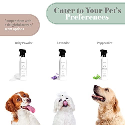 Pet Detangling Spray (16 Fl Oz (Pack of 2))