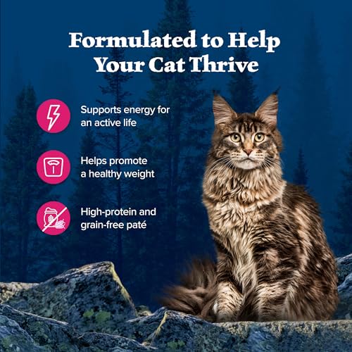 Wilderness Salmon Paté Adult Wet Cat Food (5.5 Ounce (Pack of 24))