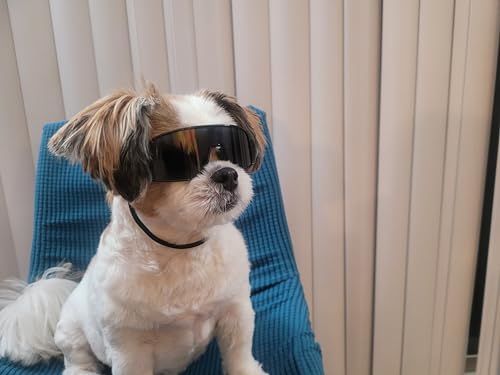 G029 Small Dog Breed 8 (S, 8-18 lbs, Sport Turbo Black)