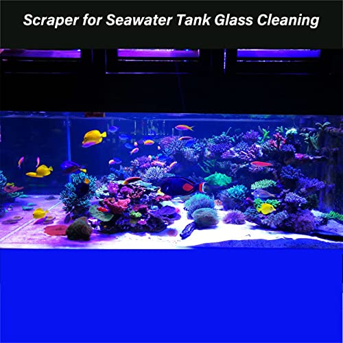 Algae Scraper for Glass Aquarium (25.6 Inch)