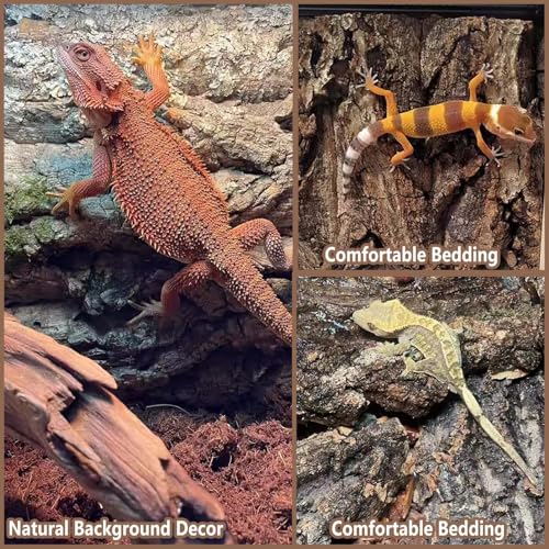 2PCS 11.8"x7.8" Natural Thickened Reptile Cork Bark Terrarium Background (2PCS - S：11.8" x 7.8")