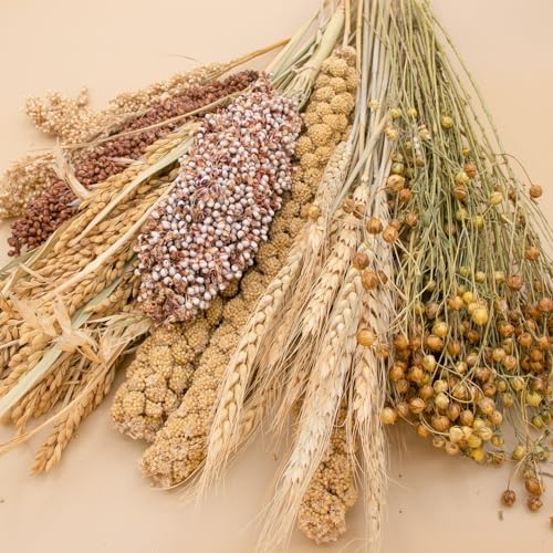 Natural Grain Flower&Herb Hamster Habitat Cage Accessories Bedding Decor (Miscellaneous grain crops)