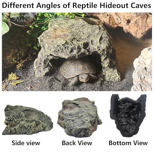 Reptile Hideout Rock