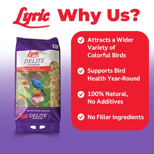 Delite Wild Bird Seed for Outside Feeders (20 Pound (Pack of 1))