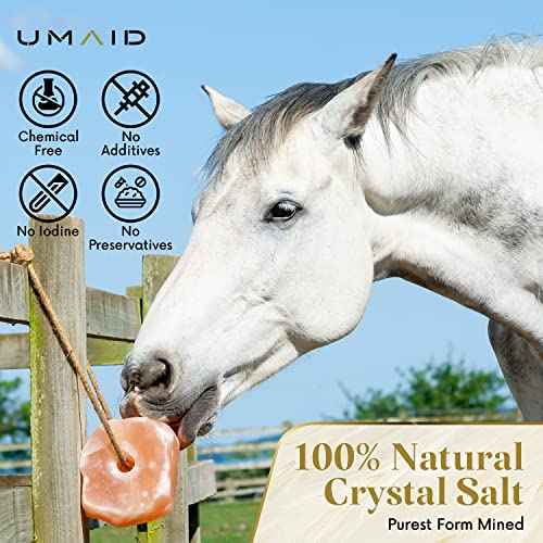 Himalayan Salt Lick 6 lbs On Rope for Horse (6 Pound (Pack of 1))