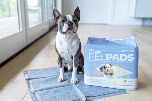 Odor Eliminating Pee Pads for Dogs (Standard)