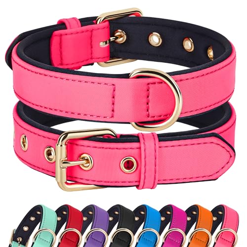 Soft Padded Dog Collars for Medium Dogs (Pink / L: Fit 13-17" Neck)