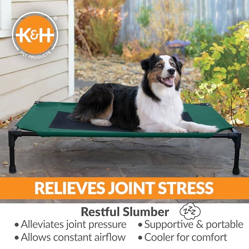 K&H Outdoor Elevated Dog Bed (Green/Black Mesh / Large 42"L x 30"W)