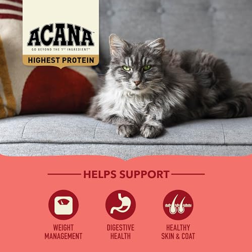 Highest Protein Dry Cat Food Indoor Cat Food Recipe 10lb Bag (10 Pound (Pack of 1))