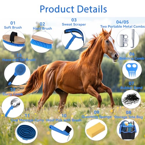 13 Piece Horse Grooming Kit (Blue)