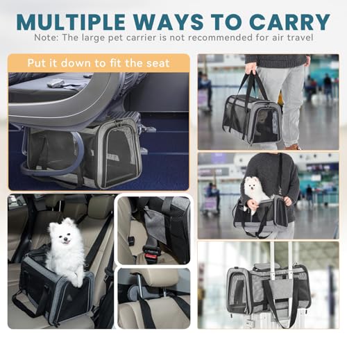 Large Cat Car Carrier (19.0"L x 12.0"W x 12.0"H / Z-Gray)