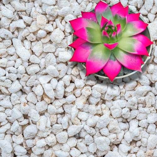 Perlite for Plants (Extra-Coarse Perlite (Grade 4) / 30 quarts)