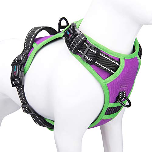 Upgraded No Pull Dog Harness (Purple / Small)