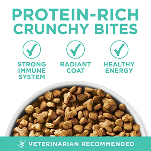Sensitive Skin and Stomach Dry Cat Food 16 lb Bag (16 Pound (Pack of 1))