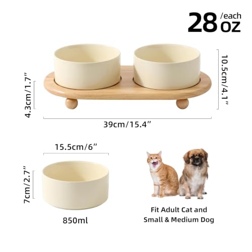 Raised Cat Bowl