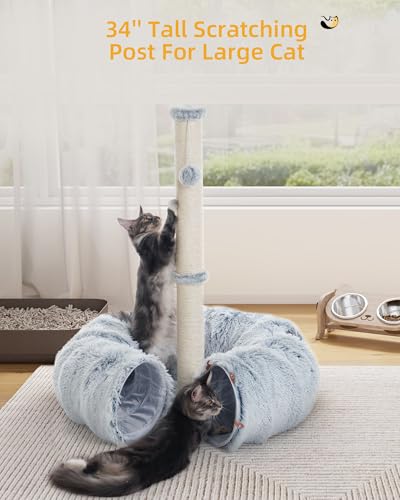 3-in-1 Cat Tunnel Bed, 34'' Cat Scratching Post for Indoor Cats