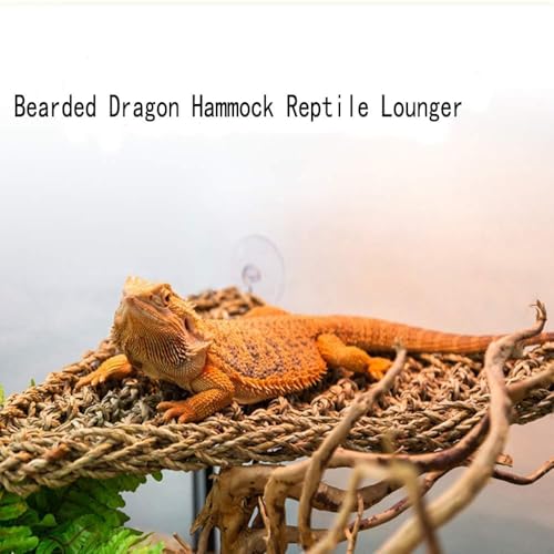 Bearded Dragon Hammock