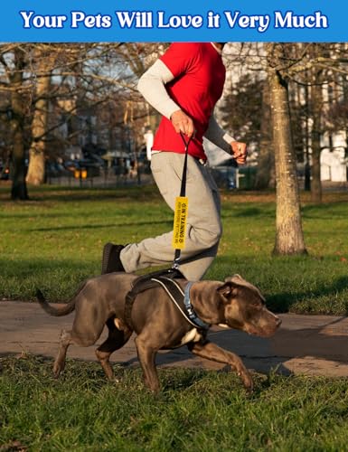 in Training Dog Leash Sleeve (In Training Ask Before)