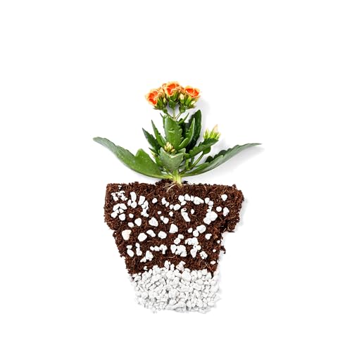 Perlite Bliss (Perlite Bliss (16 Qts))