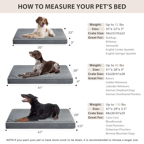 Orthopedic XXL Dog Beds for Large Senior Dog Bed Comfy Sleeping (Grey / 47"L x 29"W x 3.5"Th)