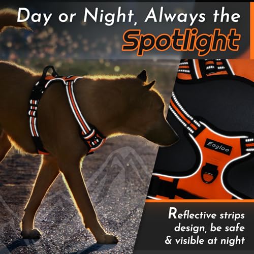 Dog Harness for Large Dogs (Large / Orange)
