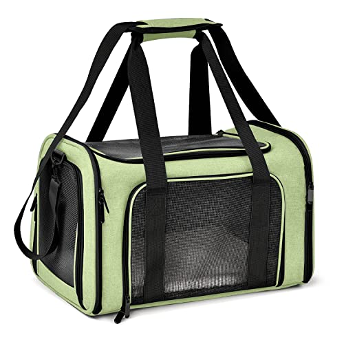 Pet Carrier for Small Medium Cats Dogs Puppies up to 15 Lbs (17.0"L x 11.0"W x 11.0"H / Green)