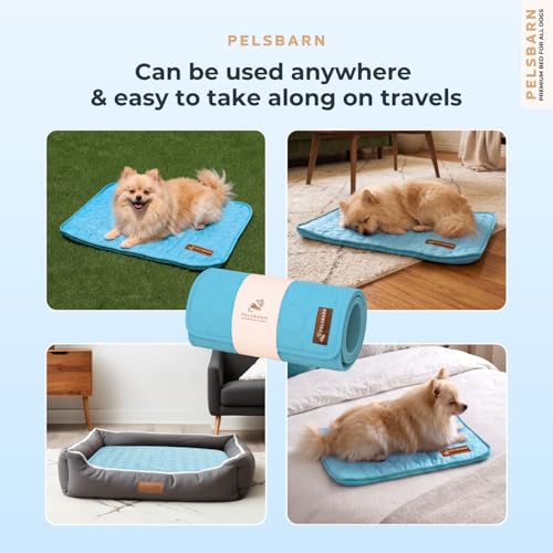 Dog Cooling Mat (Light Blue / X-Small)