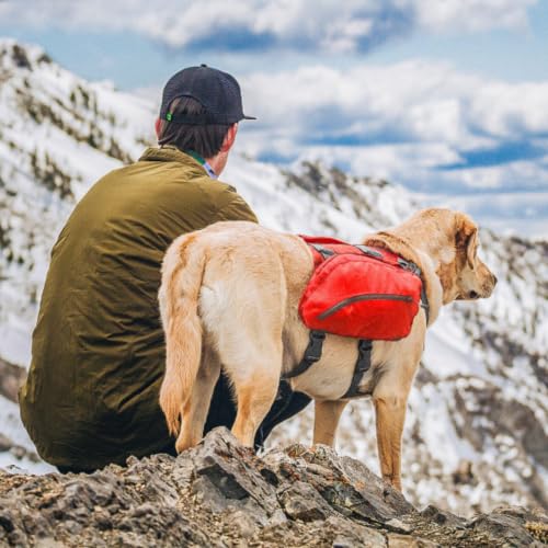 Big Baxter Dog Backpack Harness (Big Baxter / Chili/Barn Red)